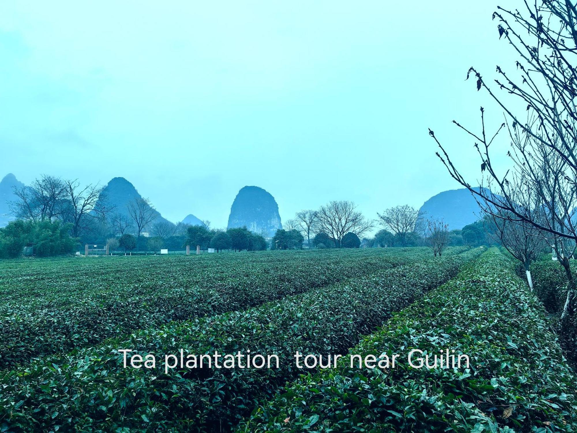 Guilin Village Creek Inn-Free Private Car Pick Up Station Stay 3 Nights ภายนอก รูปภาพ