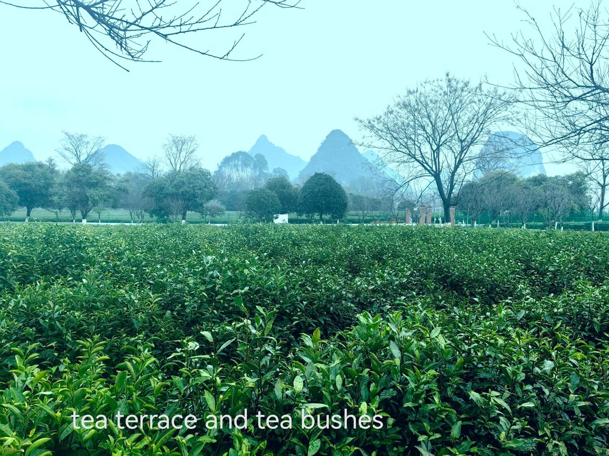 Guilin Village Creek Inn-Free Private Car Pick Up Station Stay 3 Nights ภายนอก รูปภาพ